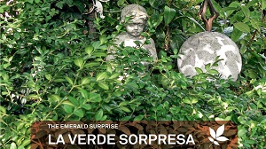 La Verde Sorpresa - Presentazione libro